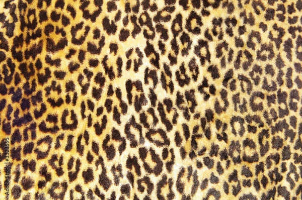 Fototapeta leopard pattern