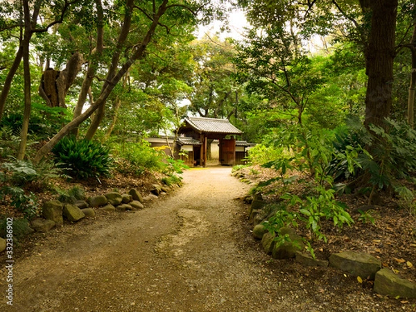 Fototapeta 春の六義園　旅行　散歩　おすすめ