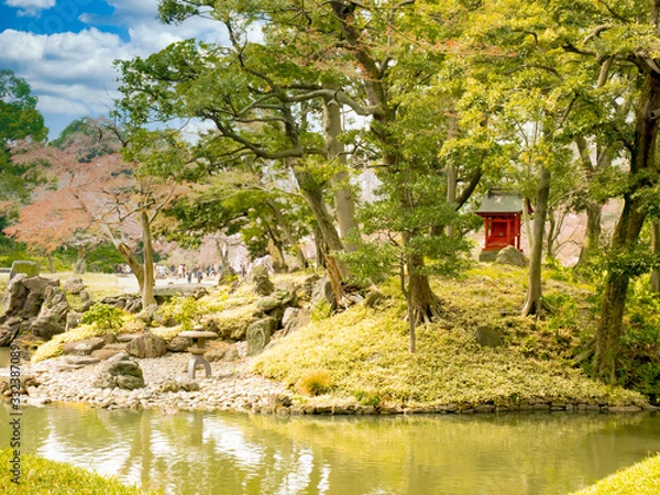 Obraz 春の六義園　旅行　散歩　おすすめ