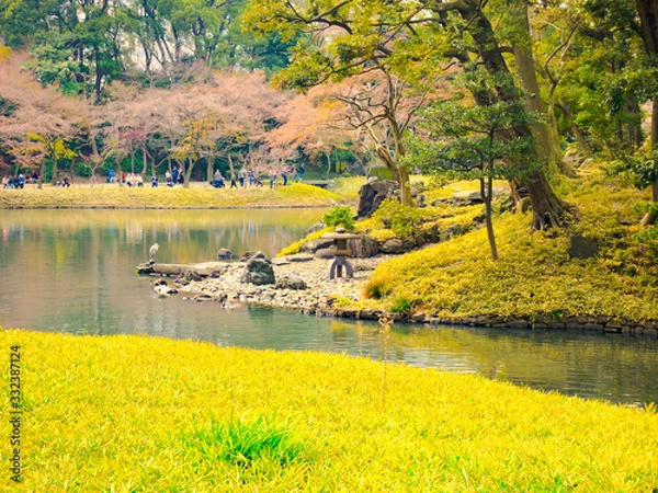 Fototapeta 春の六義園　旅行　散歩　おすすめ