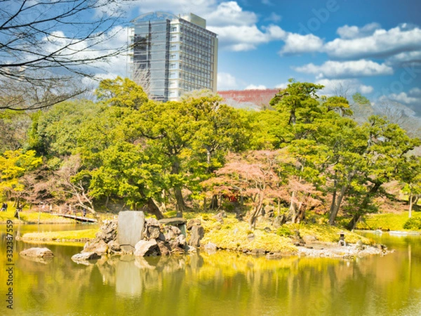 Fototapeta 春の六義園　旅行　散歩　おすすめ