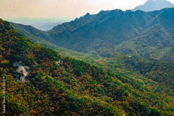 Obraz fall mountain 가을산