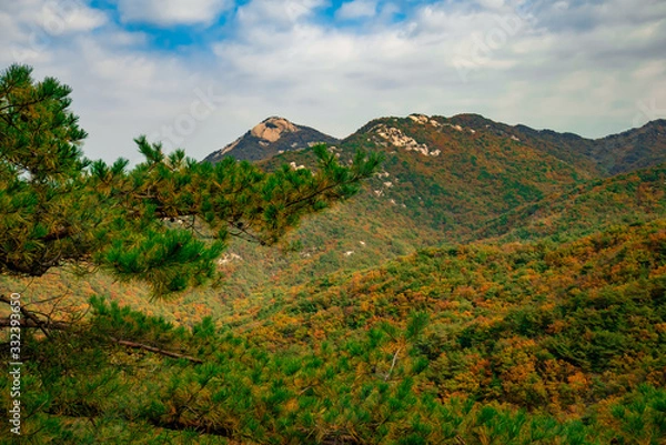 Obraz fall mountain 가을산