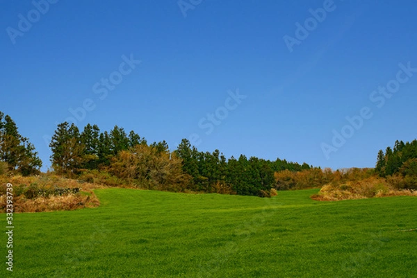 Obraz grassland 초원