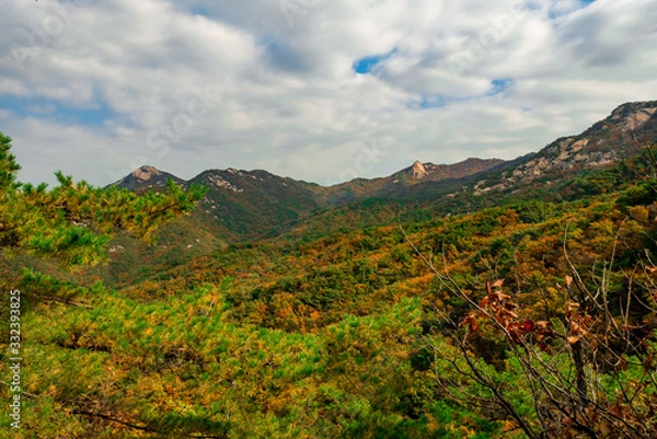 Obraz fall mountain 가을산