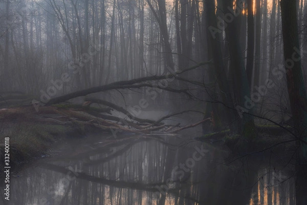 Fototapeta Mrok wschodu słońca