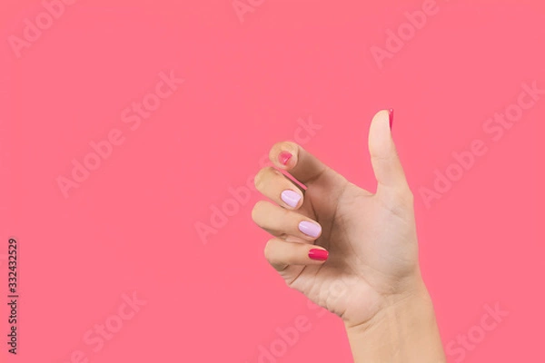 Fototapeta Closeup view photography of one manicured beautiful female hand making gesture by empty hand as if holding invisible object in palm isolated on bright pink background.