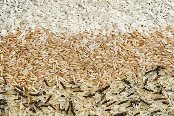 Fototapeta Mix of different types of rice. Rice texture close up. White long grain rice. Jasmin rice, wild rice
