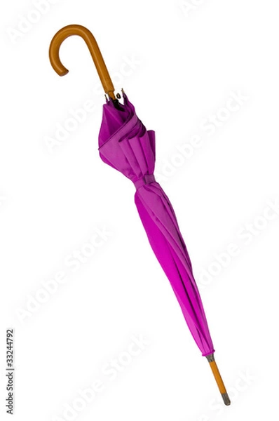 Obraz Honeysuckle Umbrella