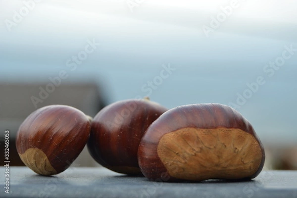 Fototapeta Castagne