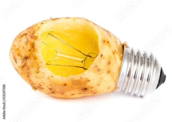 Obraz potato lightbulb