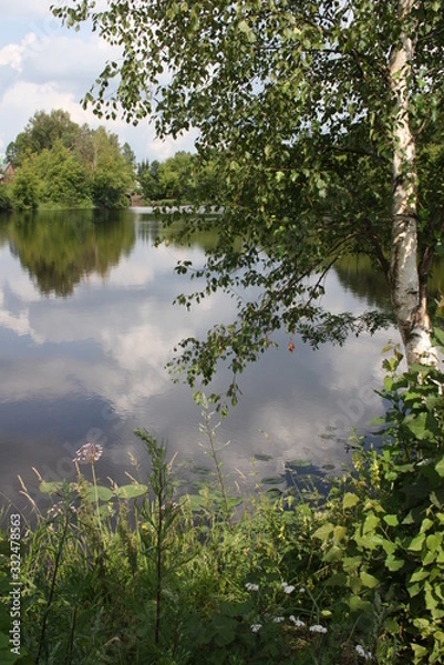 Obraz lake in the forest