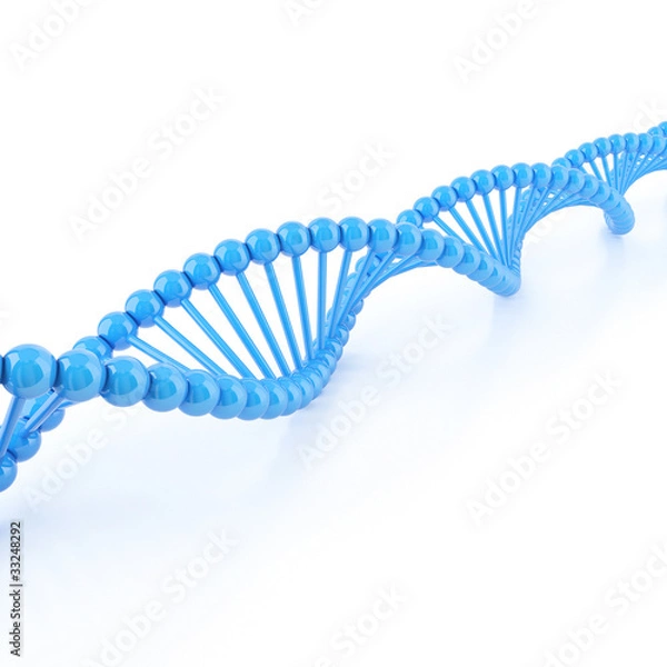 Obraz DNA strands on a white background