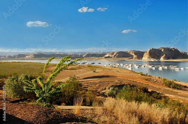 Obraz desert oasis