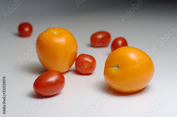 Obraz Fresh plum tomatoes and yellow “Organza” tomatoes on a white background with natural shadow. Side view.