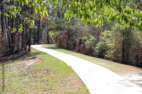 Obraz path in the park