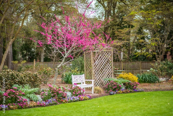 Fototapeta Spring Setting