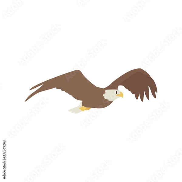 Obraz eagle icon vector illustration. Cartoon style bird, isolated on a white background