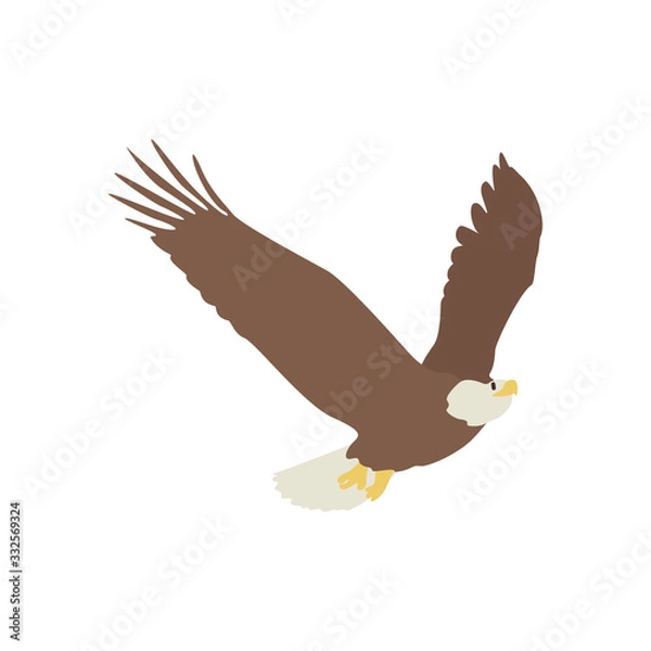 Obraz eagle icon vector illustration. Cartoon style bird, isolated on a white background