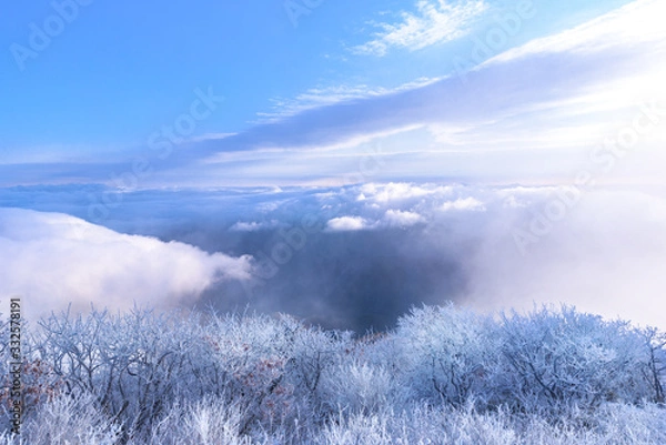 Obraz 눈으로 덮힌 덕유산의 겨울풍경