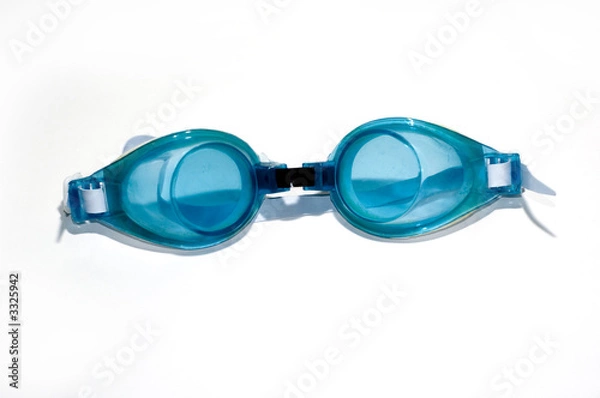 Obraz Goggles on White