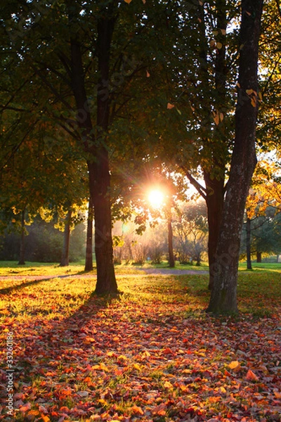 Obraz Scene Autumn Sunset