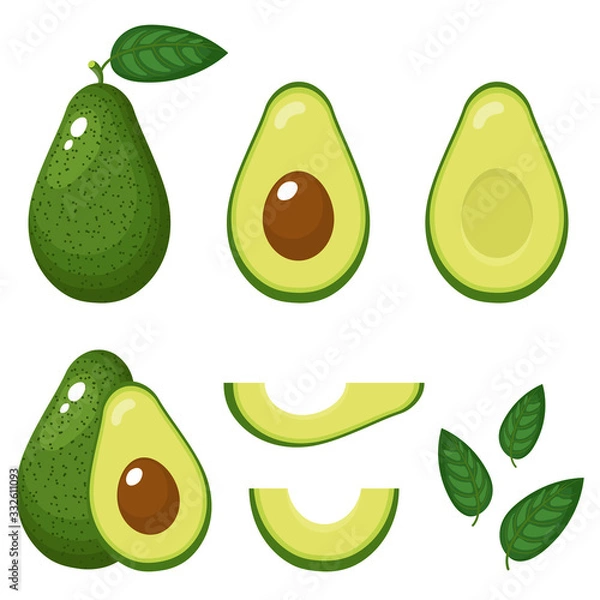 Obraz Set of fresh whole, half, cut slice and leaves avocado isolated on white background. Summer fruits for healthy lifestyle. Organic fruit. Cartoon style. Vector illustration for any design.