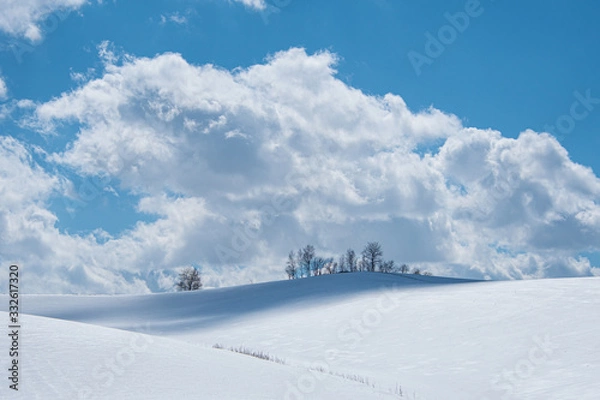 Fototapeta 春待ちの丘