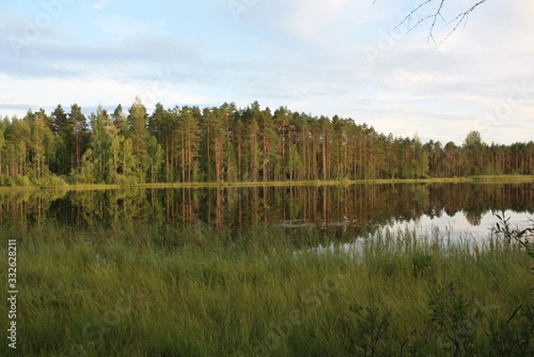 Obraz landscape with lake and trees