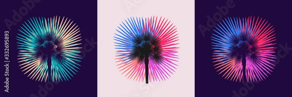 Fototapeta Silhouette of a palm tree on various backgrounds. Set of tropical summer vector templates