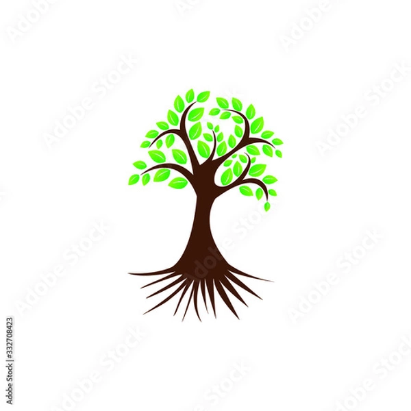 Fototapeta tree on white background