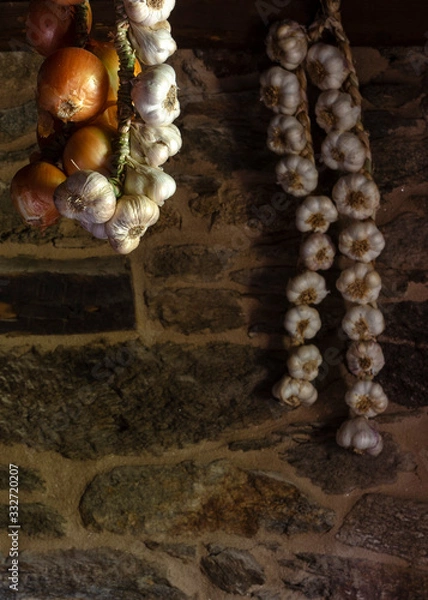 Obraz ceboolas y ajos