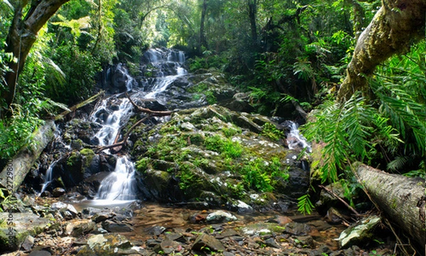 Fototapeta Waterfall in lush wet tropical rainforest. Taken at Bobbin Bobbin Falls in World Heritage Wooroonooran National Park. Long exposure with water snaking around fallen timbers.