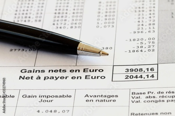 Obraz Bulletin de paye