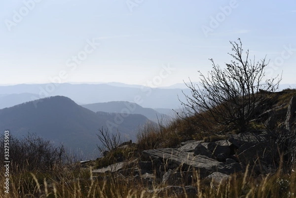 Obraz Bieszczady Mountain park with top view in high sun