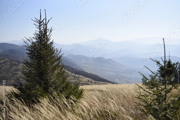 Obraz Bieszczady Mountain park with top view in high sun