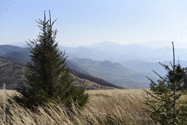 Obraz Bieszczady Mountain park with top view in high sun