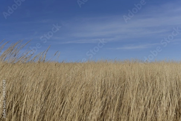 Obraz Bieszczady Mountain park with top view in high sun