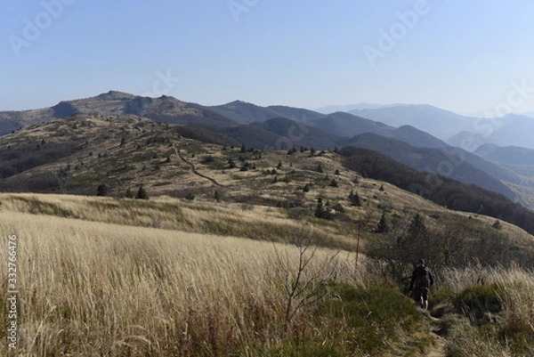 Obraz Bieszczady Mountain park with top view in high sun