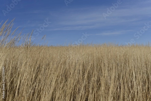 Obraz Bieszczady Mountain park with top view in high sun