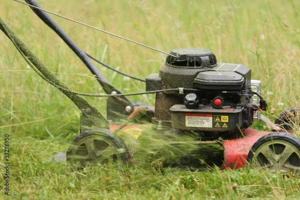 Obraz Lawnmower