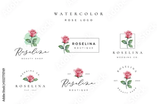 Obraz Piękne logo akwarela róży