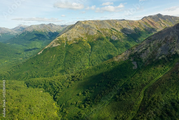Fototapeta aerial view of Kamchatka volcanos, green valleys, snow and ice and the wonderful view of pure nature.