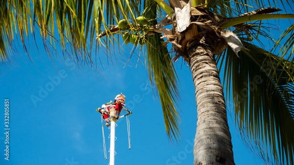 Obraz Colorfully Dressed Mexican Street Performers at the top of a Poll on The Beach