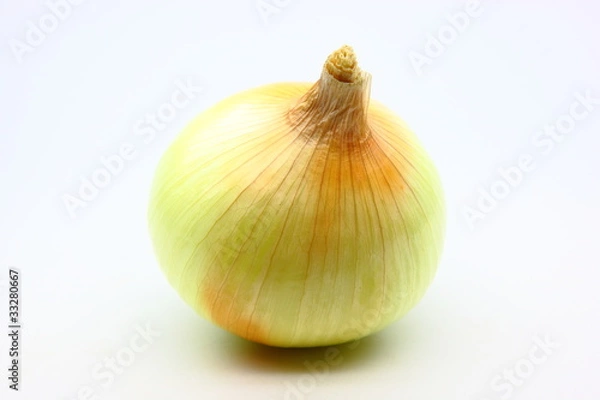 Fototapeta 玉ねぎ