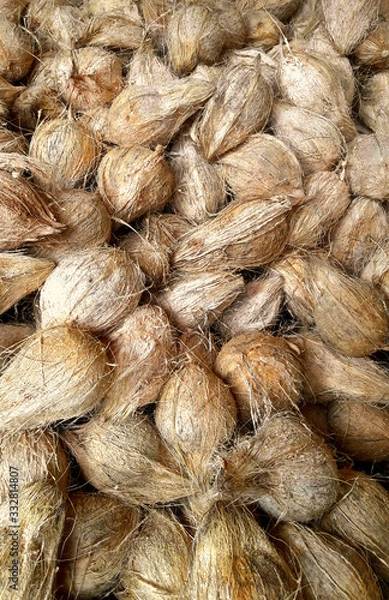 Obraz Group of peeled coconut