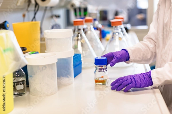 Fototapeta Close up hands in gloves holding urine test tube