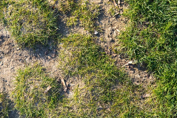 Obraz Texture ground