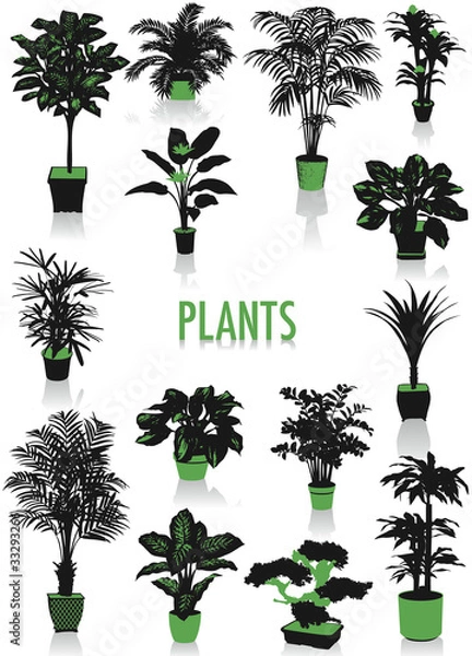 Obraz Plants silhouettes