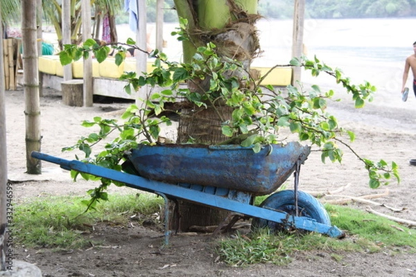 Obraz wheelbarrow in garden